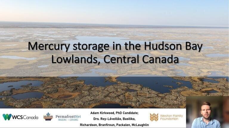 Mercury Storage in the Continuous and Discontinuous Permafrost Zones of the Hudson Bay Lowlands